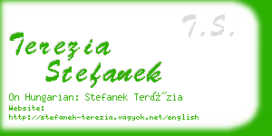 terezia stefanek business card